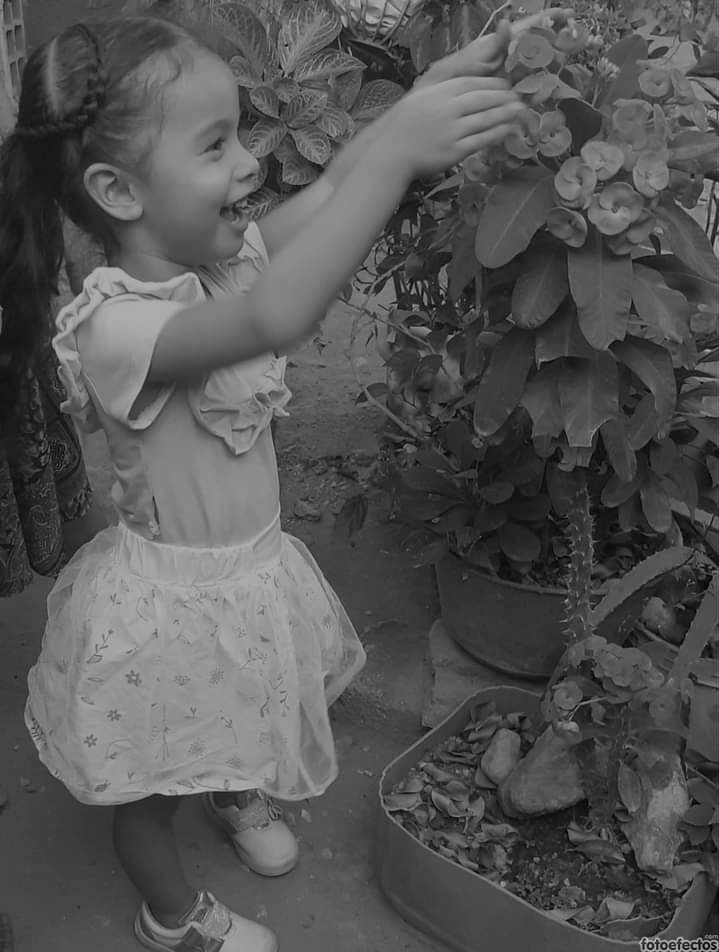 En Aguachica muere niña de 5 años por dengue