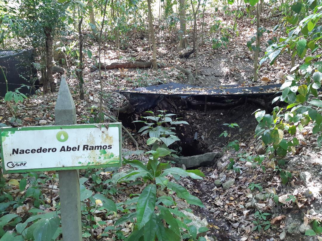 En Aguachica El Bosque del Agüil necesita una urgente intervención