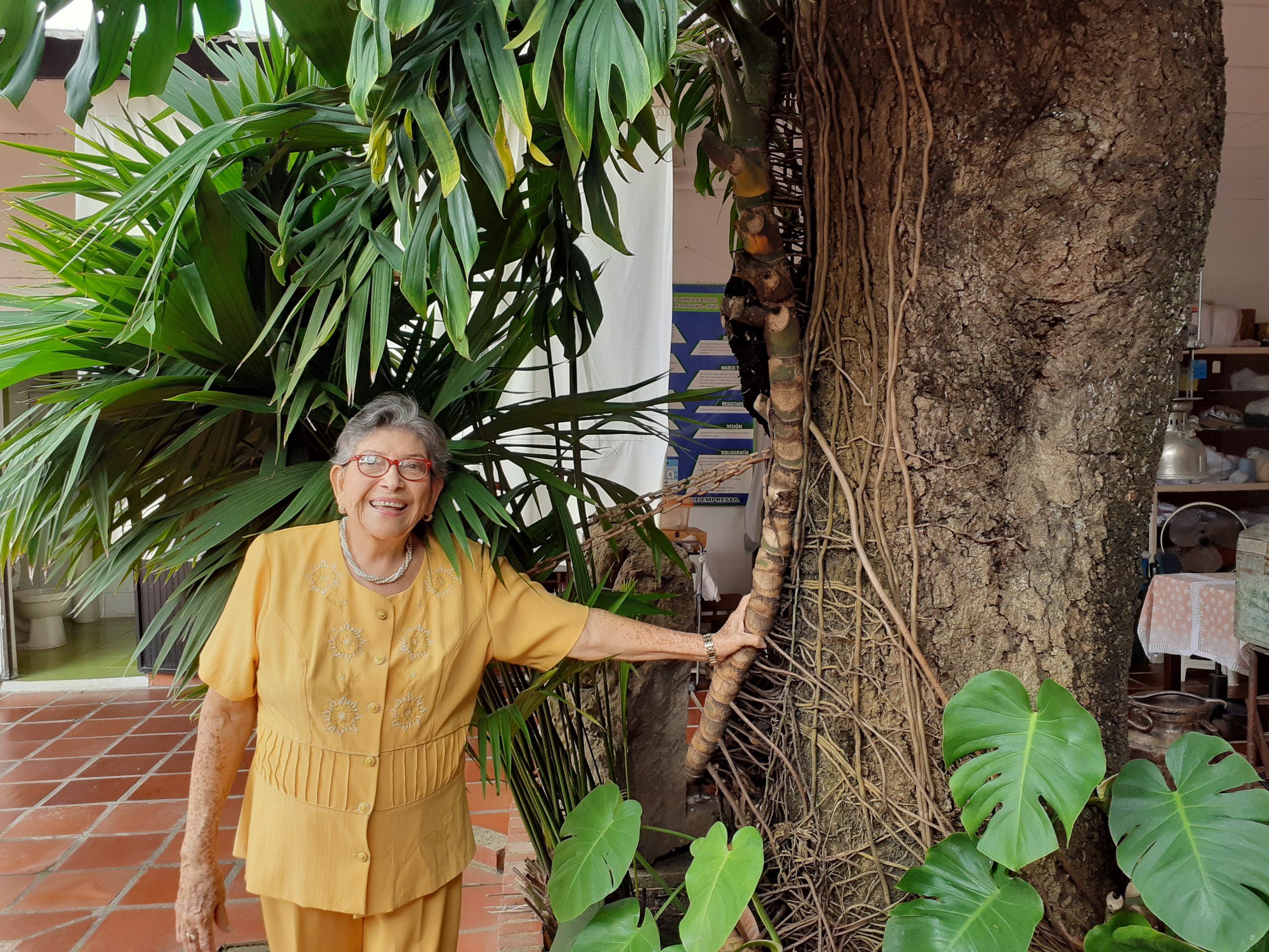 La casa «museo» de Marina Caselles y el árbol de mango de cien años