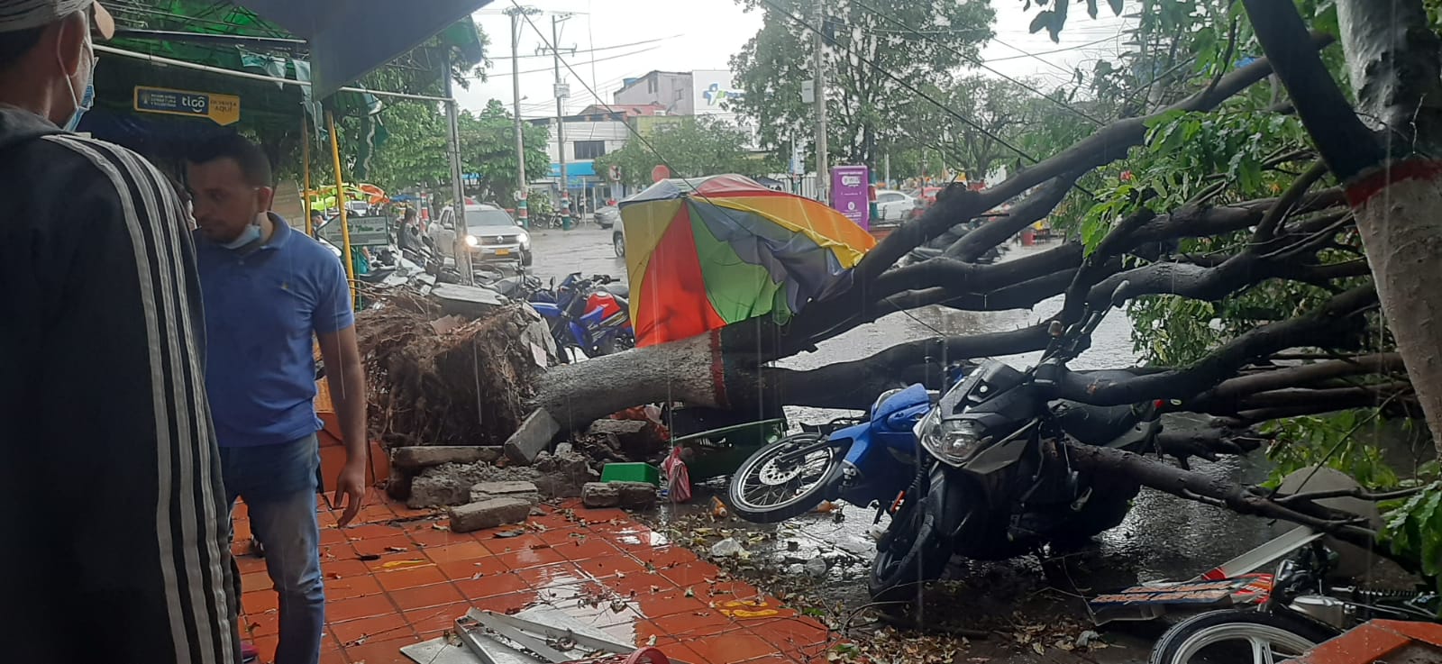Vendaval generó emergencia por derribamiento de árboles y afectaciones en viviendas en Aguachica