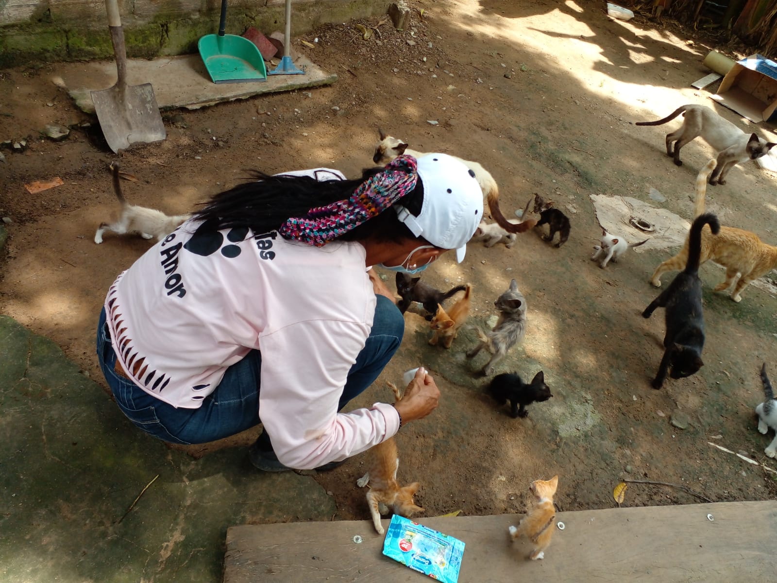 Huellitas de amor, una causa solidaria por los animales de la calle