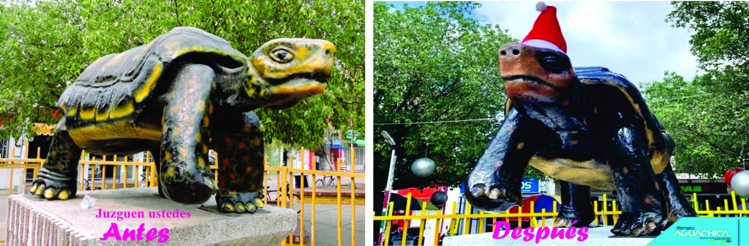 ¿Qué pasó con el Morrocoy?