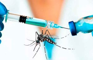 En un mes se podría tener una vacuna contra el dengue en Colombia