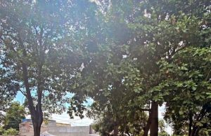 Inició la construcción de la segunda fase del Malecón en Pelaya, Cesar