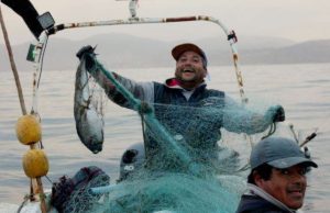 Colombia prepara proyecto para desarrollar la pesca turística en el país