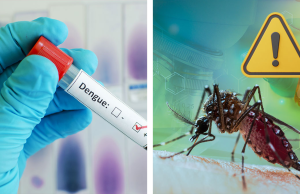 En tres municipios del Cesar declarado brote de dengue