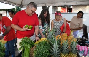 Valledupar se prepara para ExpoComfacesar 3 “La Vitrina de Todos”