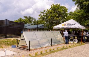 Gran Tierra Energy inaugura oficialmente el Centro Forestal Acordionero en San Martín, Cesar