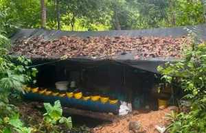 Autoridades destruyen laboratorio de cocaína en el sur del Cesar